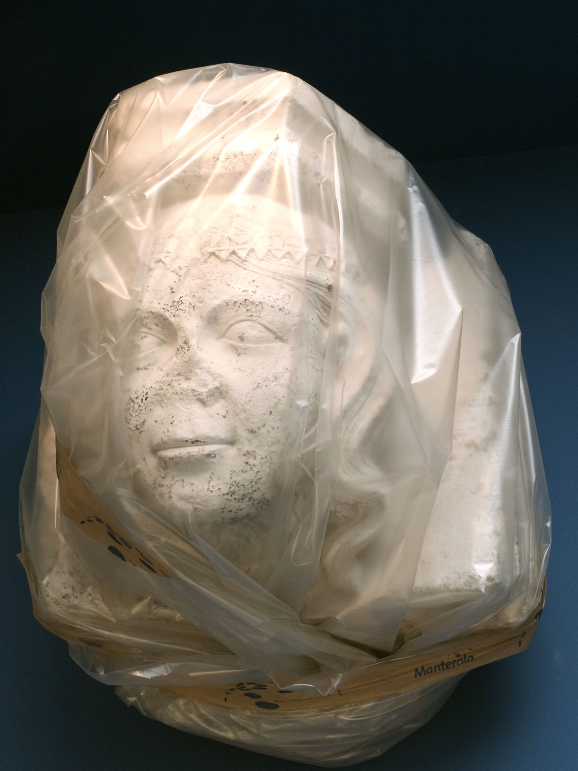 Cabeza tallada en piedra embalada en plástico